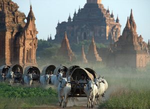 Kienthuc-Bagan-20_OFDU