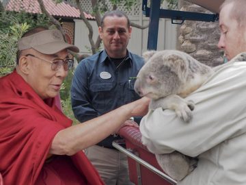 2017-06-18-SanDiego-N01-P6180217