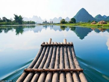 cau-chuyen-cai-be-qua-song-074305